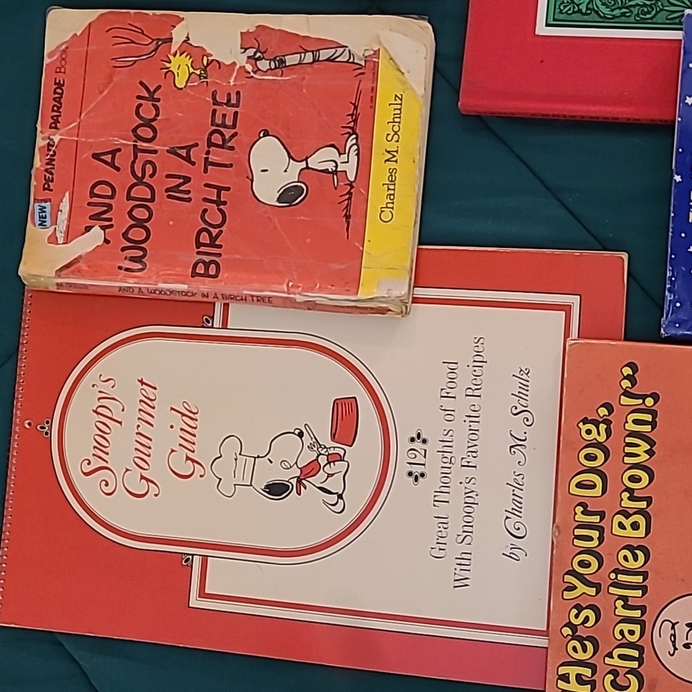 Peanuts Comic Book Collection - Picture 2 of 10